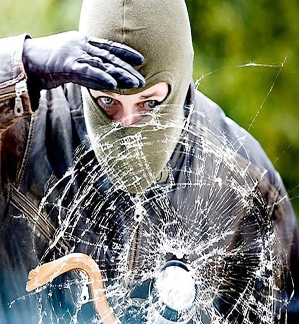safety security clear bra