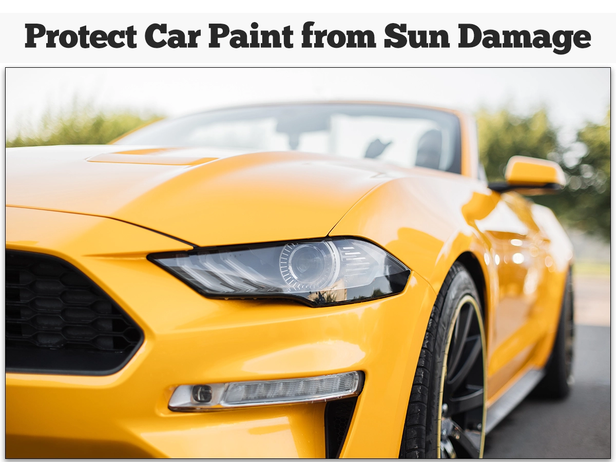 Protect Car Paint from Sun Damage