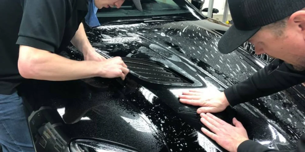 Lámina protectora para la pintura en Minnetrista
